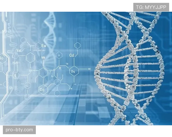 帕尔默大赛表现的稳定性与上限瓶颈解析