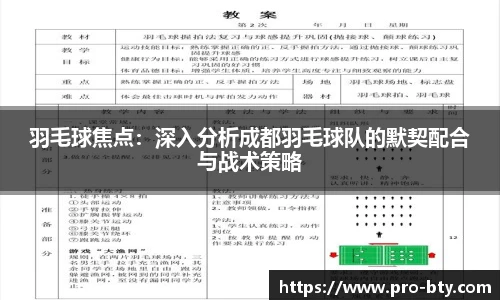 羽毛球焦点：深入分析成都羽毛球队的默契配合与战术策略