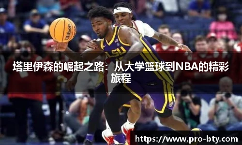 B体育官网